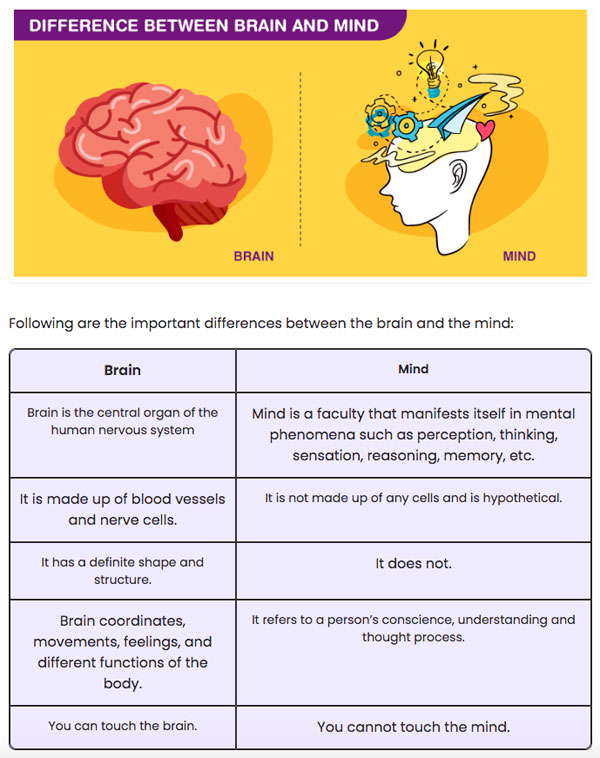The difference between the brain and the mind